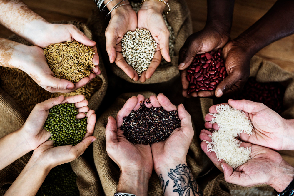 ¿Por qué es importante el control de calidad en las semillas?
